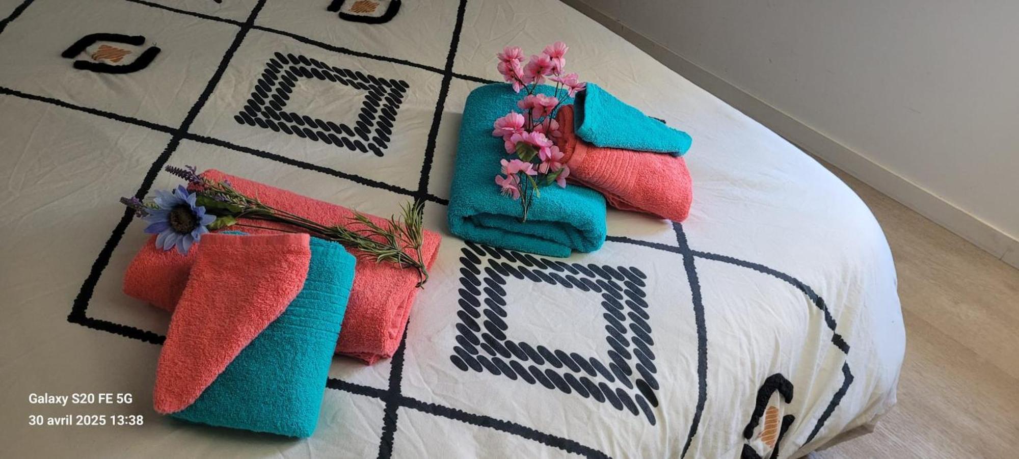 Les Volets Bleus - Deux Appartements Et Un Studio, Jardin Bourges Exteriér fotografie