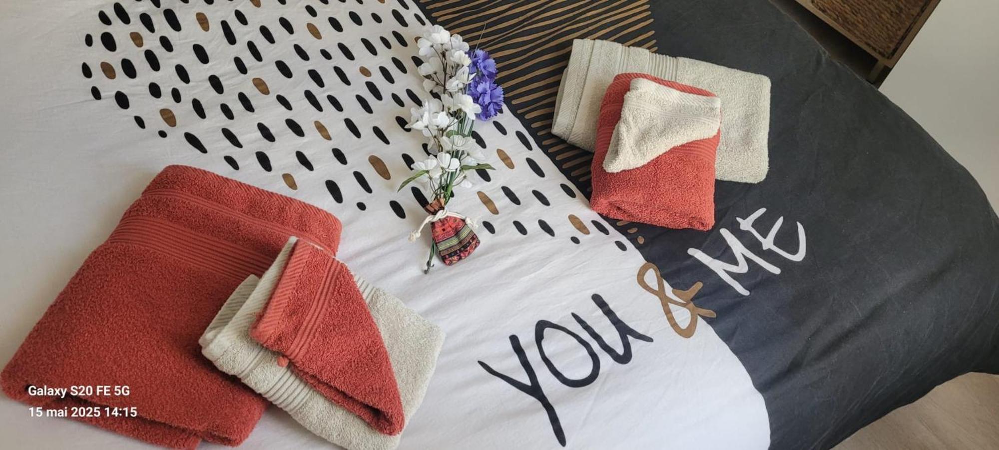 Les Volets Bleus - Deux Appartements Et Un Studio, Jardin Bourges Exteriér fotografie